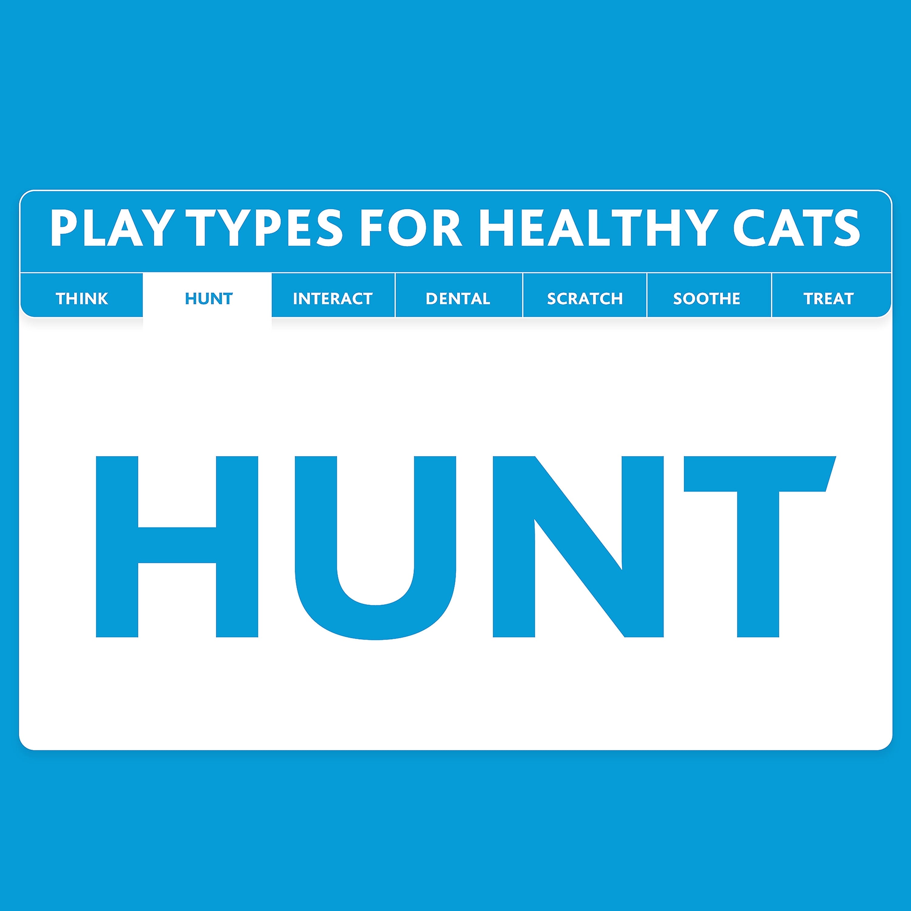 Pickleball Cat Toys with Catnip, 3 Pack