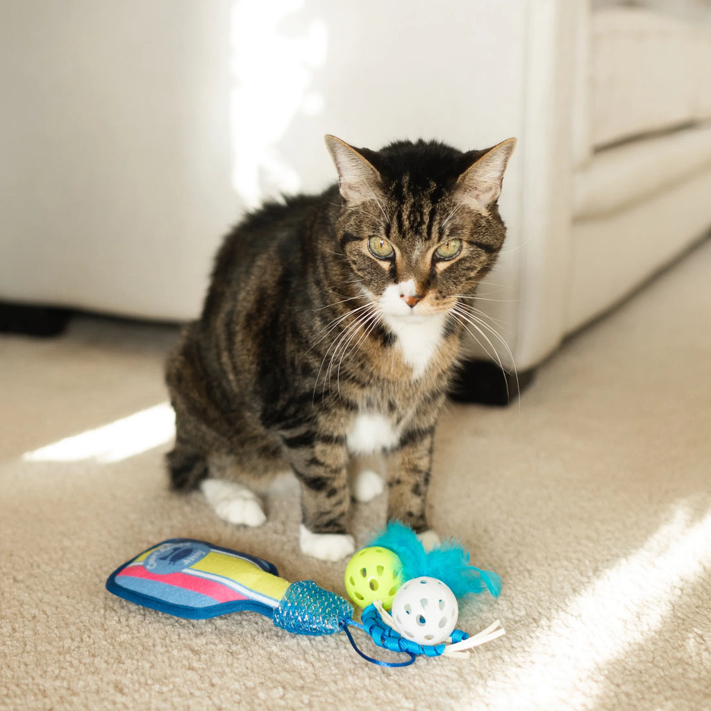 Pickleball Cat Toys with Catnip, 3 Pack